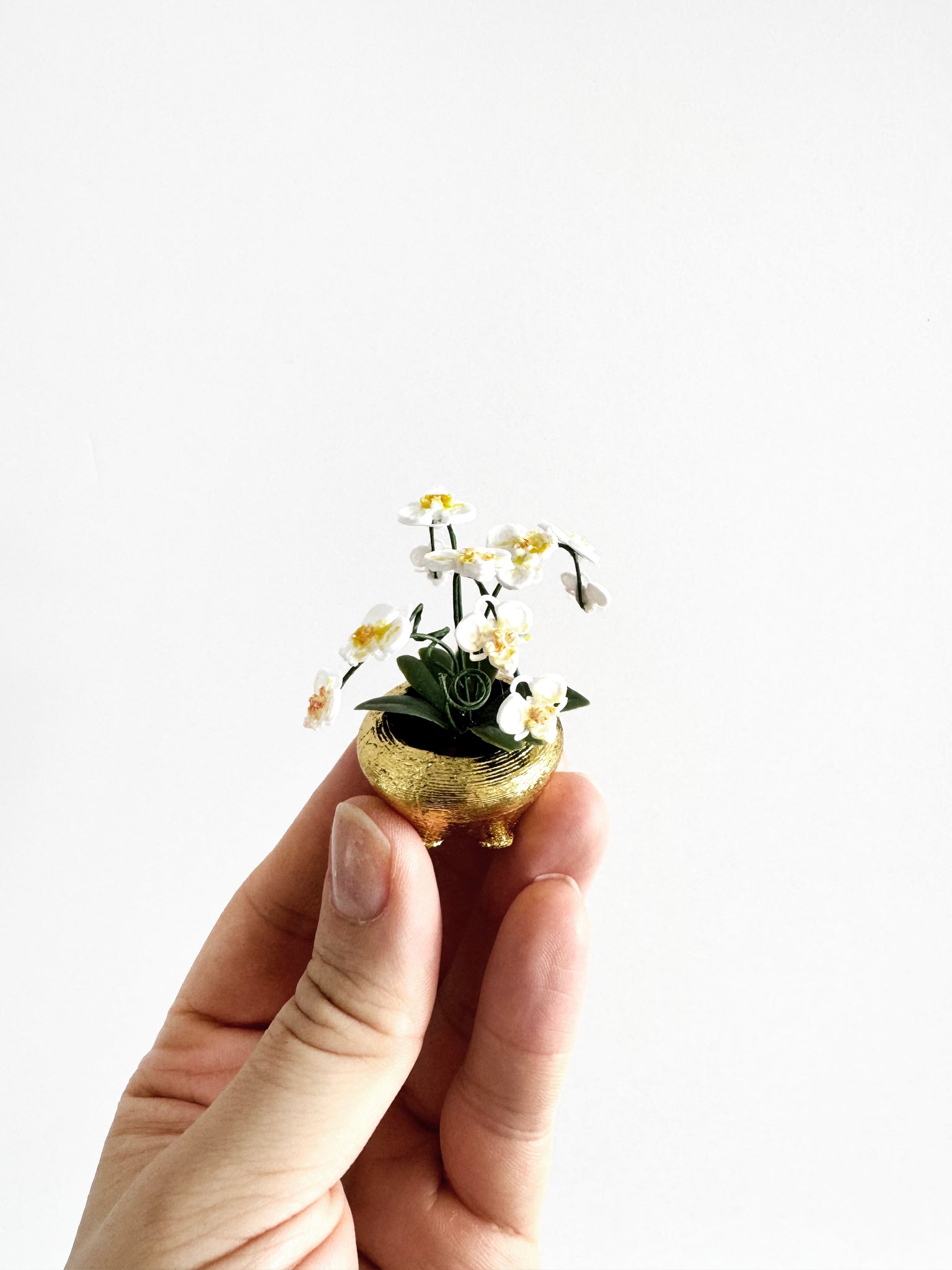 Miniature Orchid-like floral Centerpiece