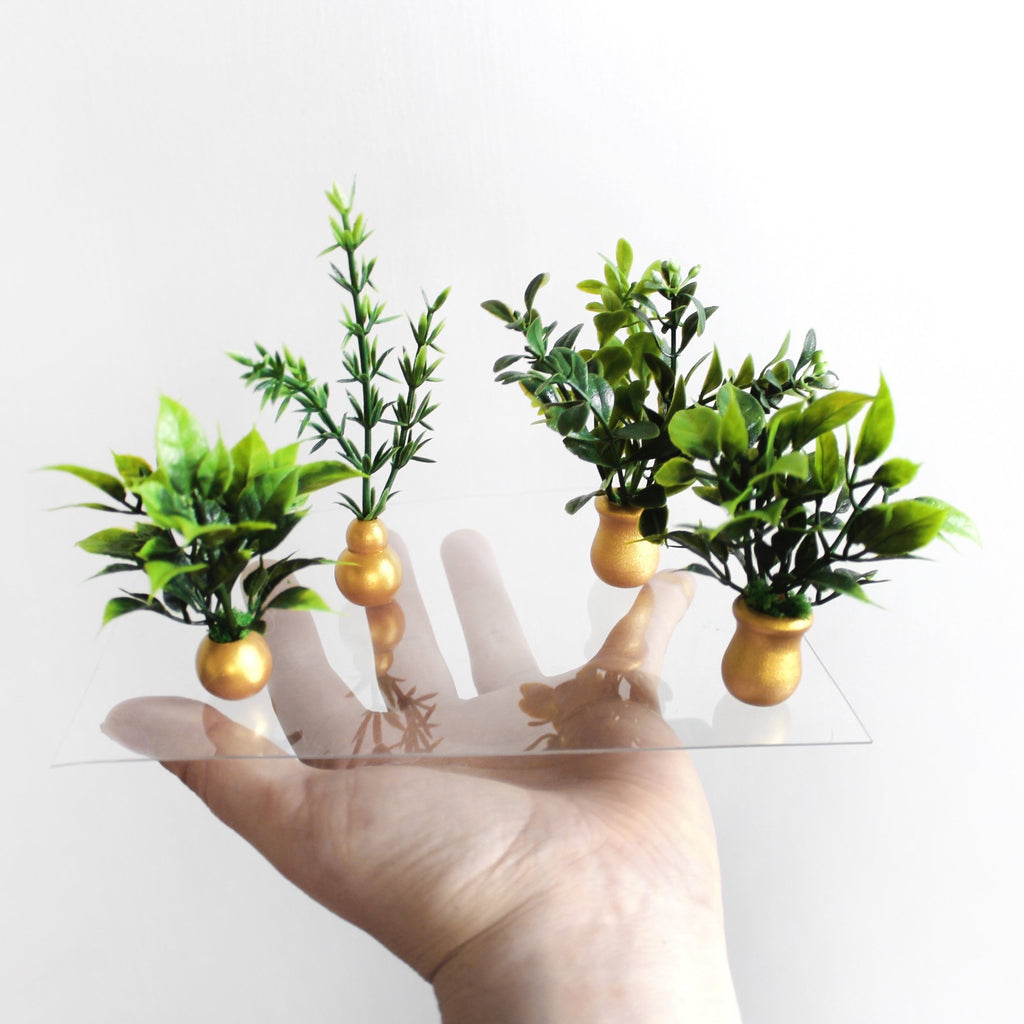 Mixed Potted Plants (4 set)