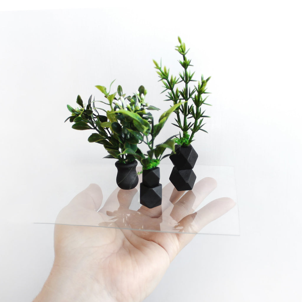 Miniature Geometric Potted Plants (set of 3)