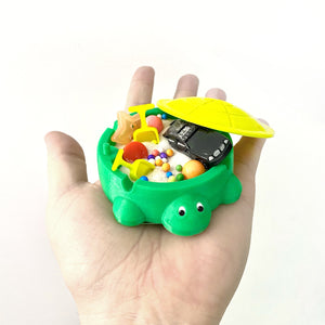 Miniature Turtle Sandbox
