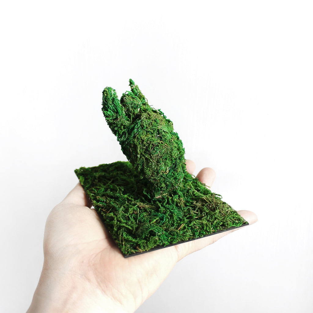 Miniature Turtle Topiary Sculpture