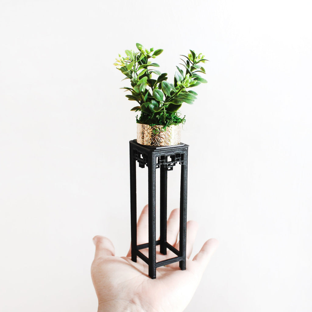 Miniature Plant Stand & Plant