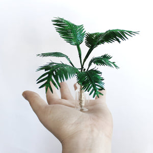 Miniature Majesty Palm