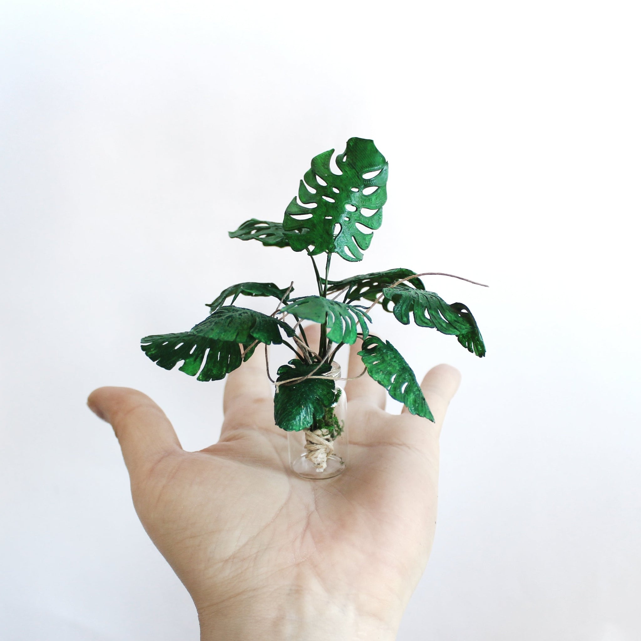 Miniature Monstera Deliciosa – Luxe Miniatures by Phillip Nuveen