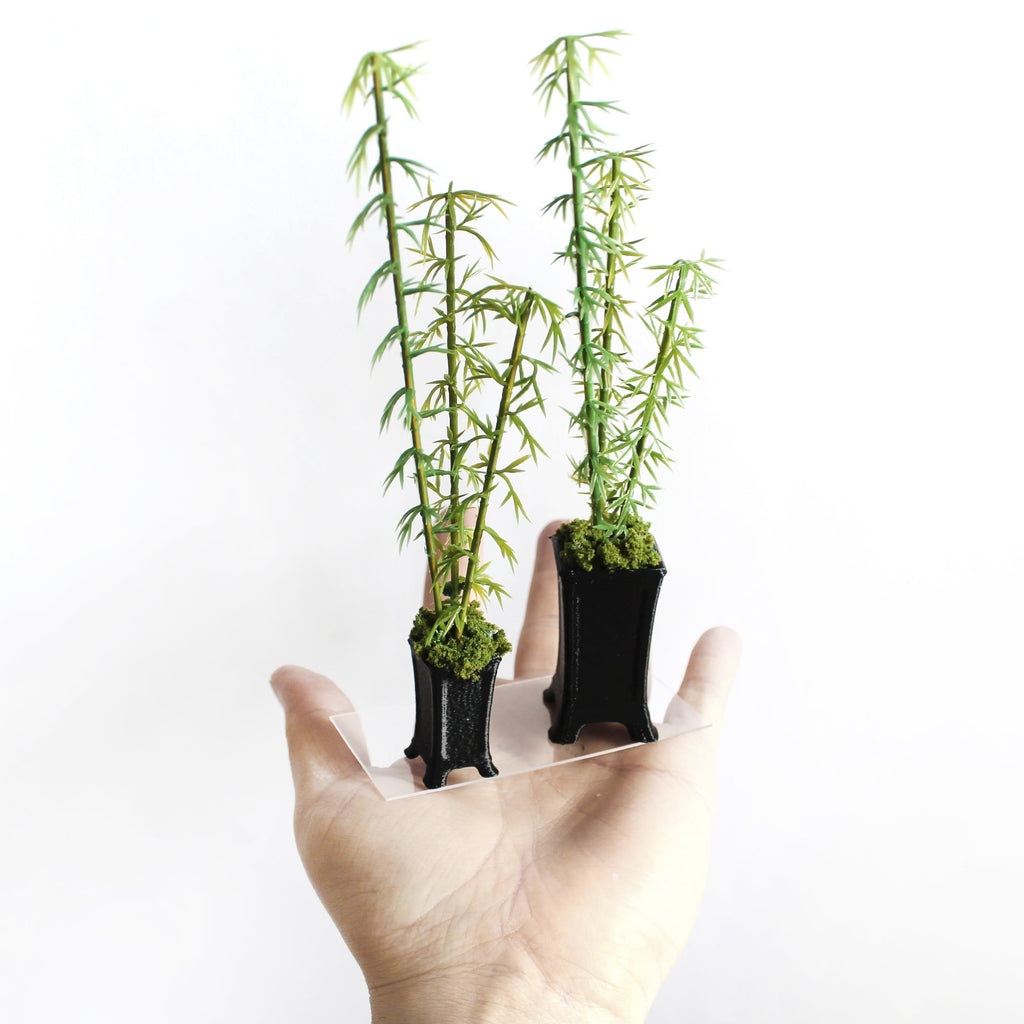 Miniature Bamboo Potted Plants