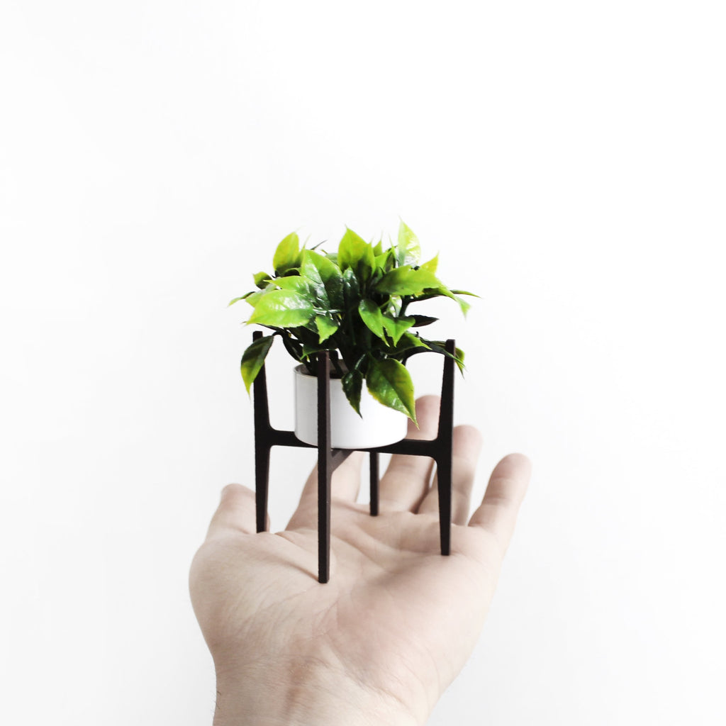 Modern Plant Stand and Plant 1/6