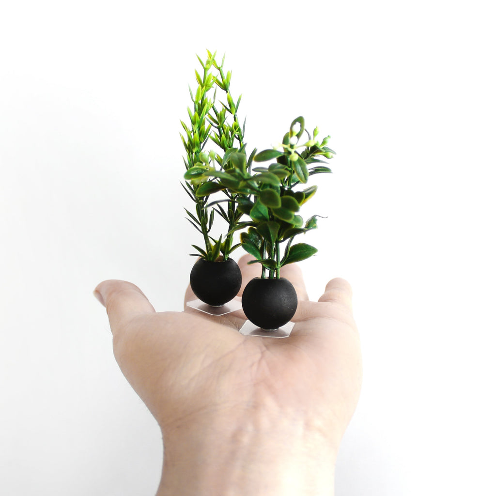 Miniature Ball Potted Plants (set of 2)