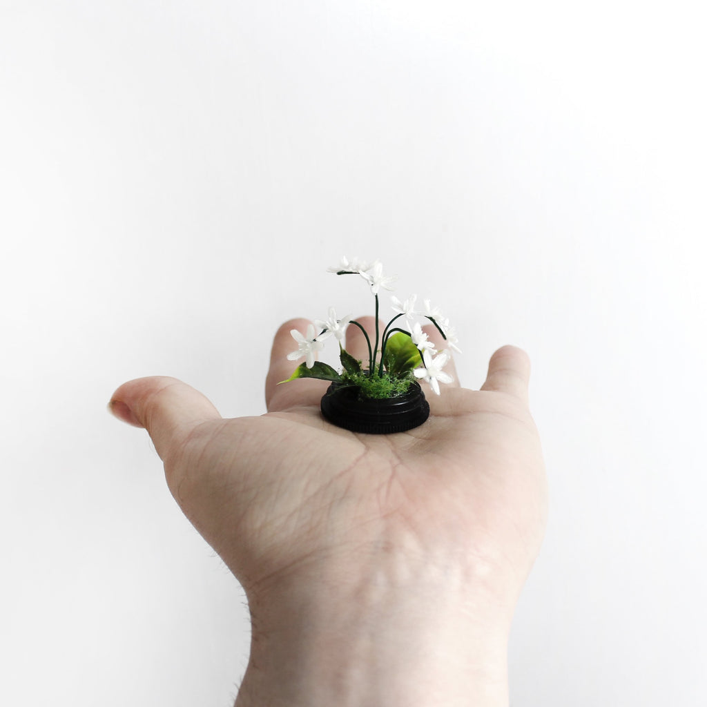 Miniature Orchid-like floral Centerpiece